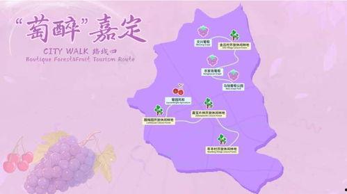 吃瓜旅游线路推荐,特色吃瓜旅游线路推荐