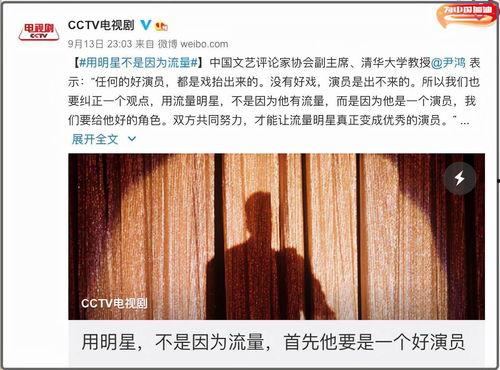 对流量明星的论点,现象背后的争议与反思