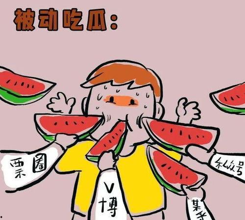 保证你天天都有瓜吃,跟随我，开启你的瓜果盛宴之旅