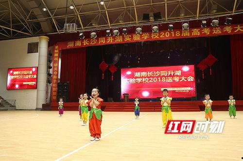 海草舞儿童版网红,萌娃演绎网络神曲，萌态可掬引网友狂热追捧