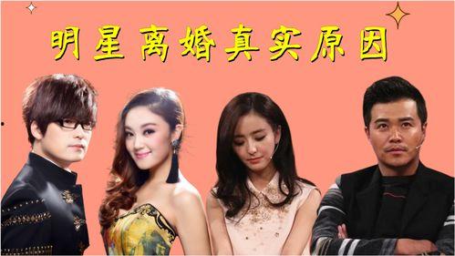 明星 离婚 理由,揭秘离婚背后的惊人真相