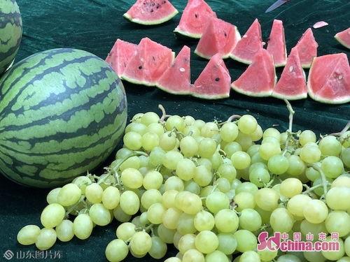 山东吃瓜逛街,畅游瓜果飘香，漫步繁华街巷