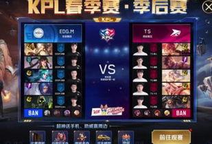 kpl皮肤最新爆料,神秘英雄华丽变身，视觉盛宴即将来袭！