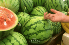 潮汕最近吃瓜,揭秘背后真相与热议