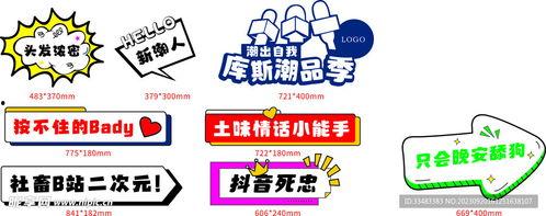 网红标签与,揭秘网络红人的魅力与影响力