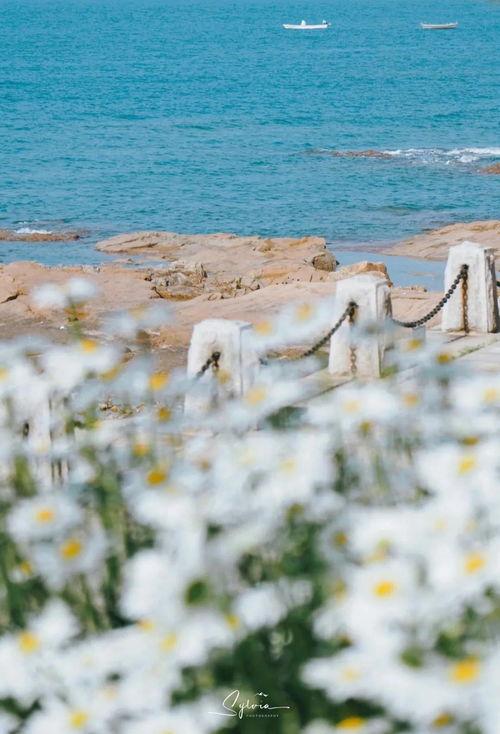 头条图片海边,探寻海边风情画卷”