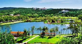 清远青树坪新闻头条,重大事件引发广泛关注