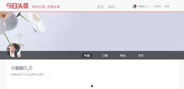 头条默认关注的人,解码人生百态