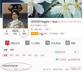 邵美琪头条公众号,揭秘明星背后的故事，探寻娱乐圈的真相与温情