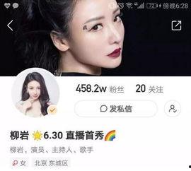 与网红有关的词句,网络时代的明星崛起与影响力解析