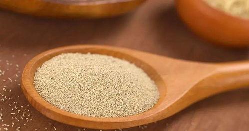 面包基料配料表怎么看的,探寻美味背后的秘密