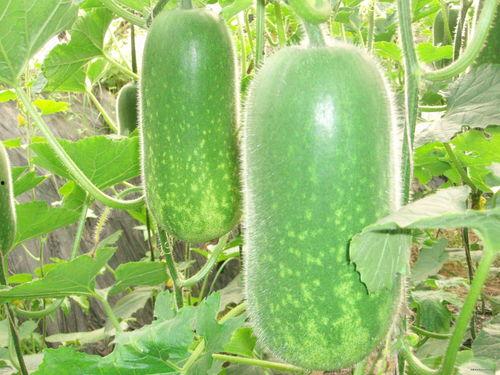 网红吃瓜糗事大全,笑料百出，揭秘娱乐圈幕后趣闻