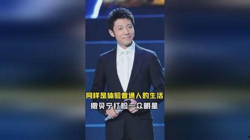 撒贝宁与众明星,共赴璀璨星光之夜