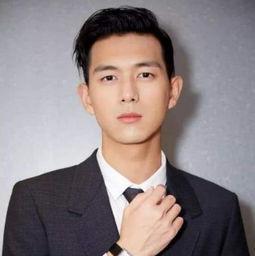 李什么龙明星,星光璀璨的影视巨星