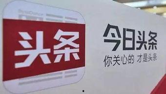 仙岳路今日头条,探寻厦门网红街区的魅力瞬间