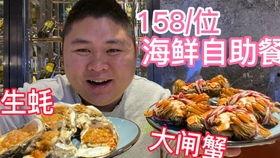 网红大胖鱼,网红界的美食探险家