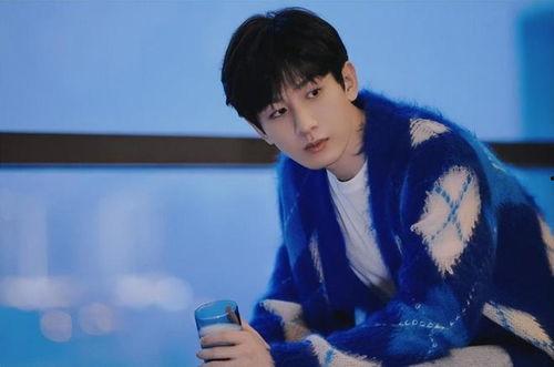 成毅被人爆料视频大全,揭秘幕后真相与网络舆论的漩涡