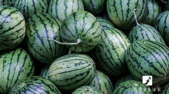 晚上吃小瓜,舌尖上的夏日风情