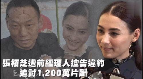 吃瓜娱乐旁白,揭秘明星幕后故事，吃瓜群众必备指南